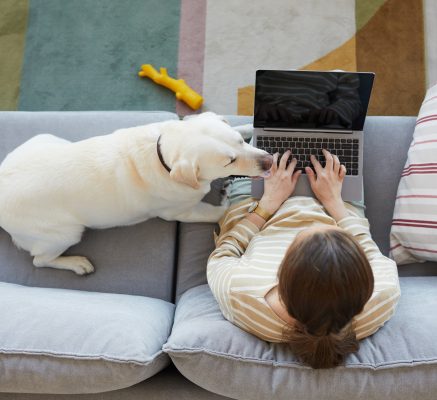 Pet Blogging How to Start a Pet Blog